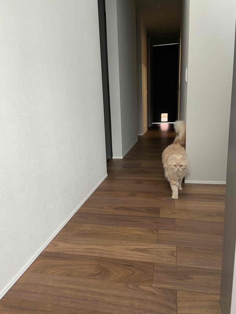 ペットドア付き建具